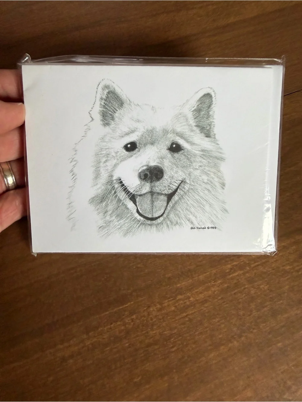 Samoyed Dog Note Cards (8) Fine Art Drawing - Bill Harrah 1993 - Wolf Run Studio